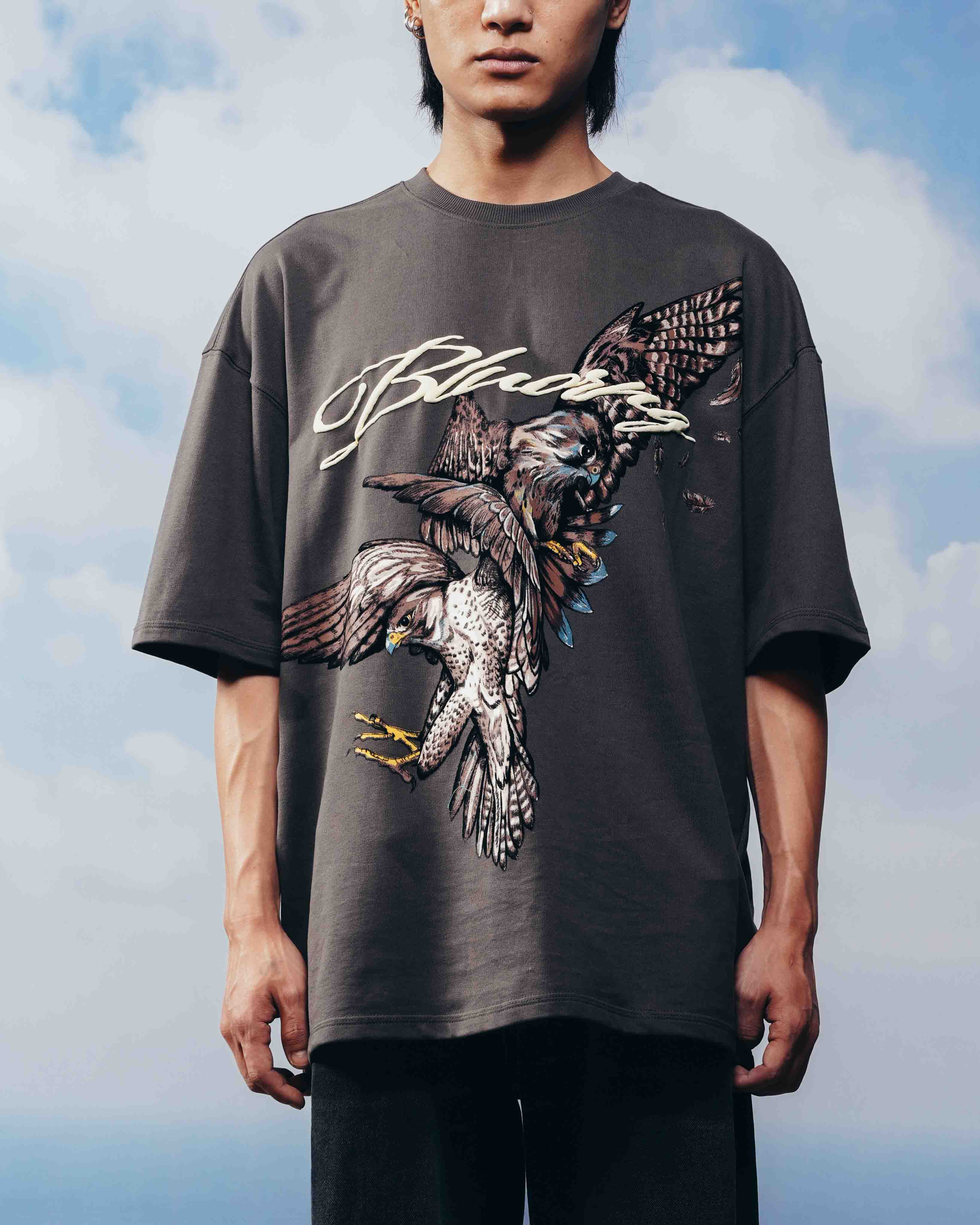 Grey Alpha Descent T-Shirt